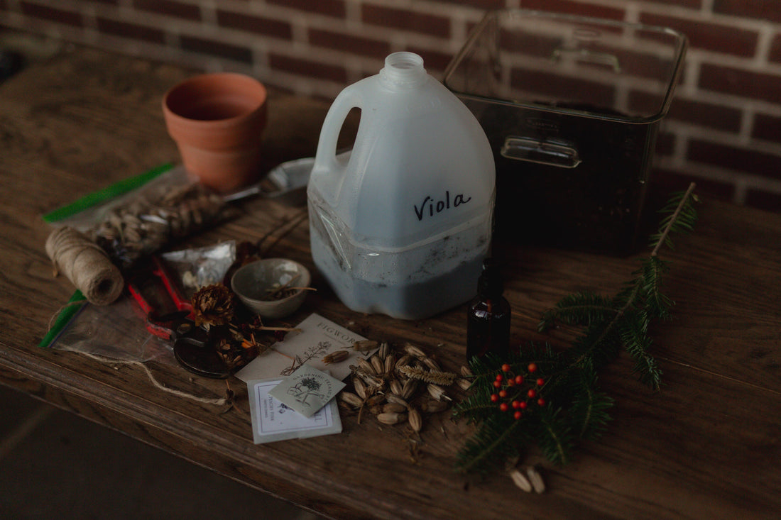 The Beginner's Guide to Winter Sowing