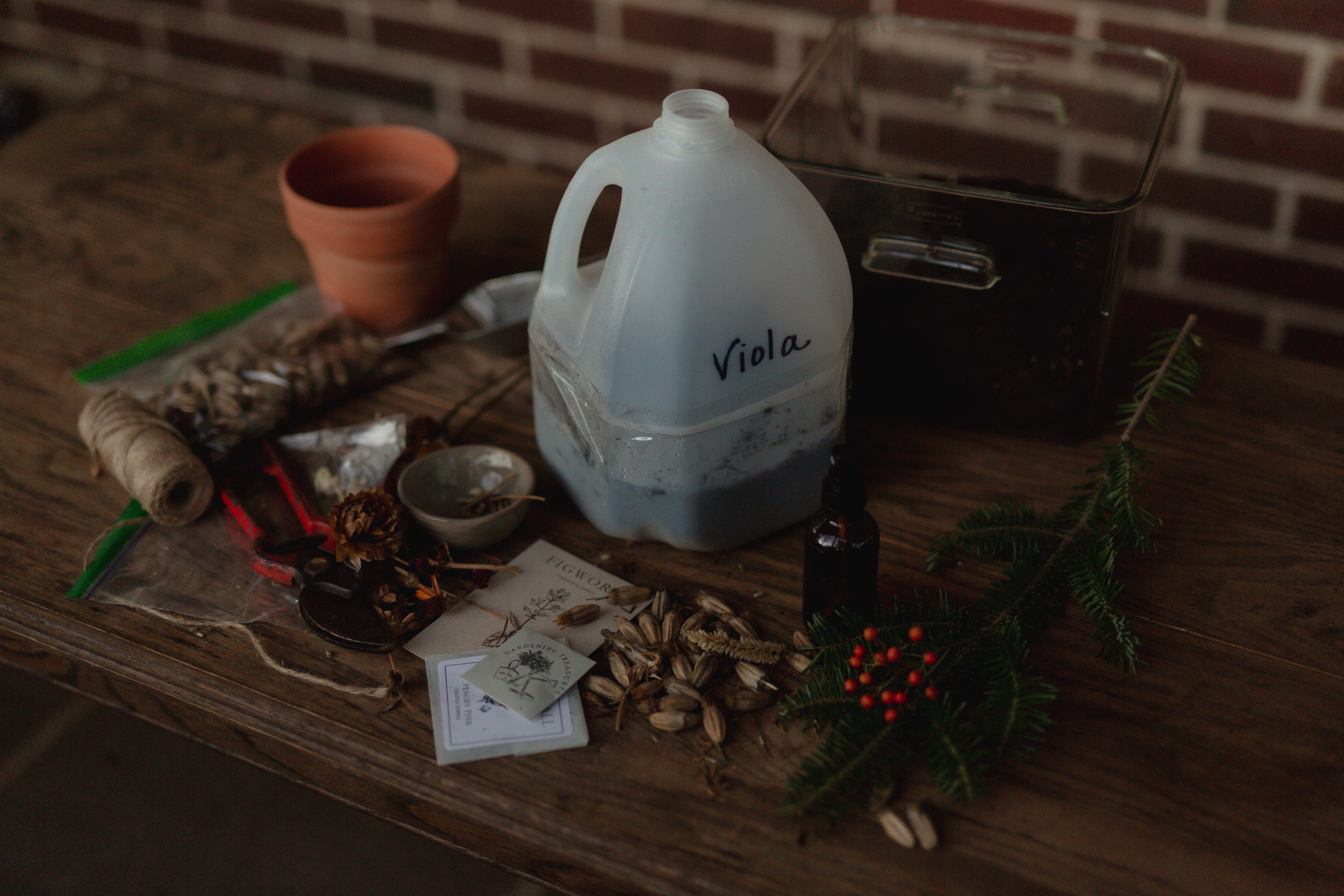 The Beginner's Guide to Winter Sowing