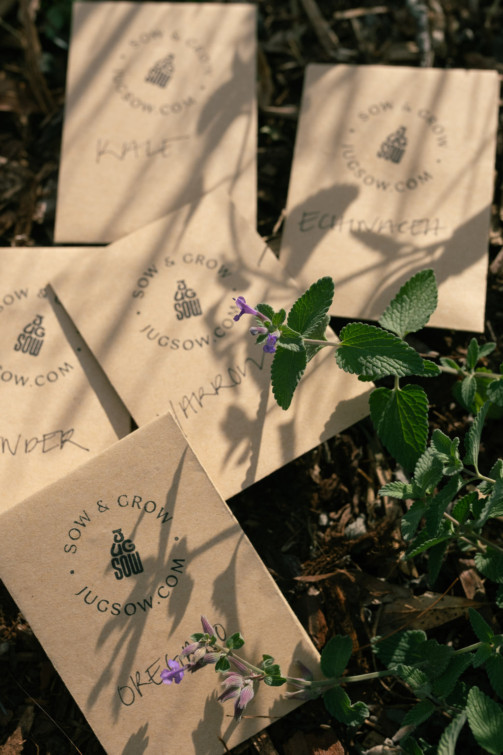 Jug Sowing Starter Kit