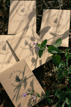 Jug Sowing Starter Kit