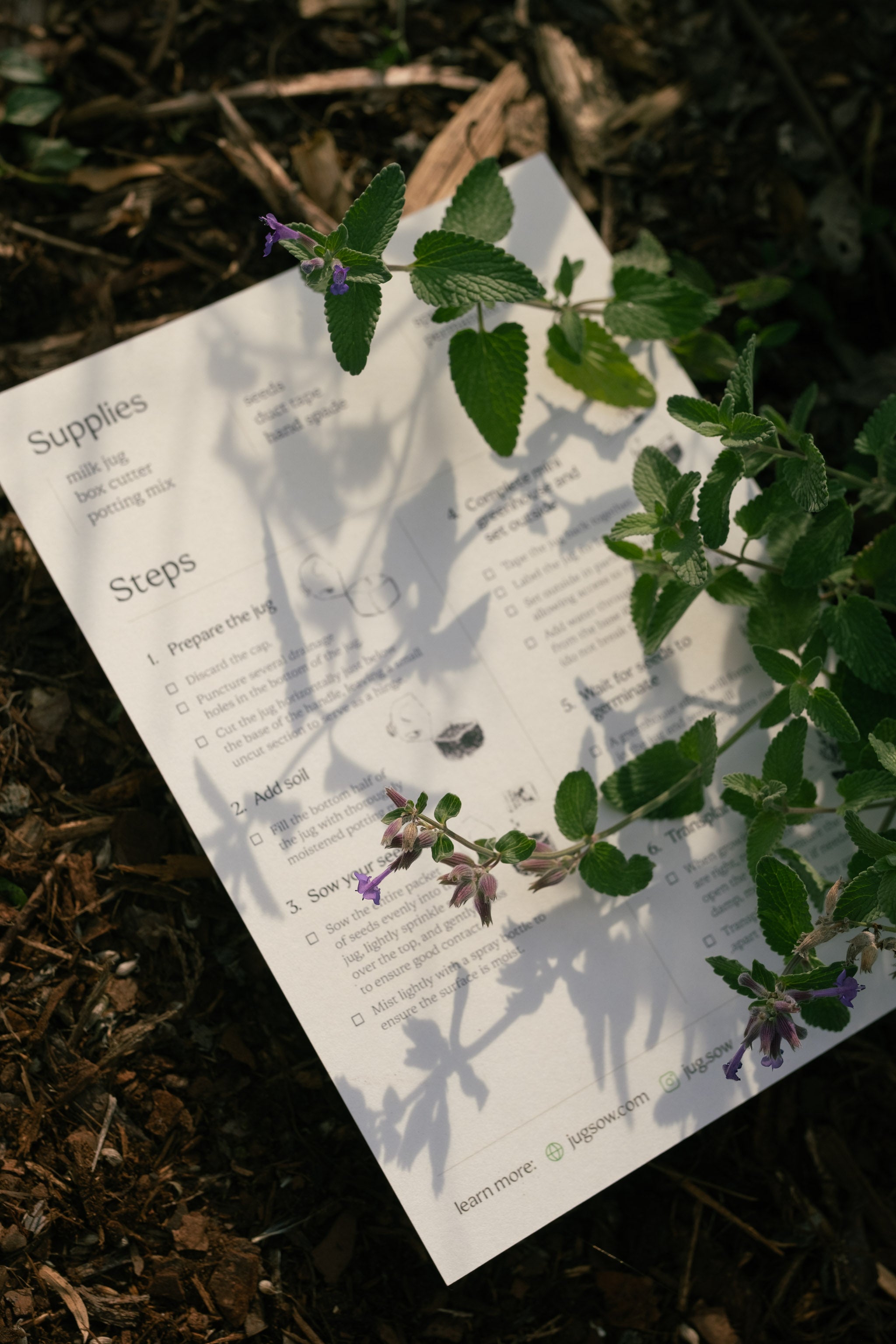 Jug Sowing Starter Kit