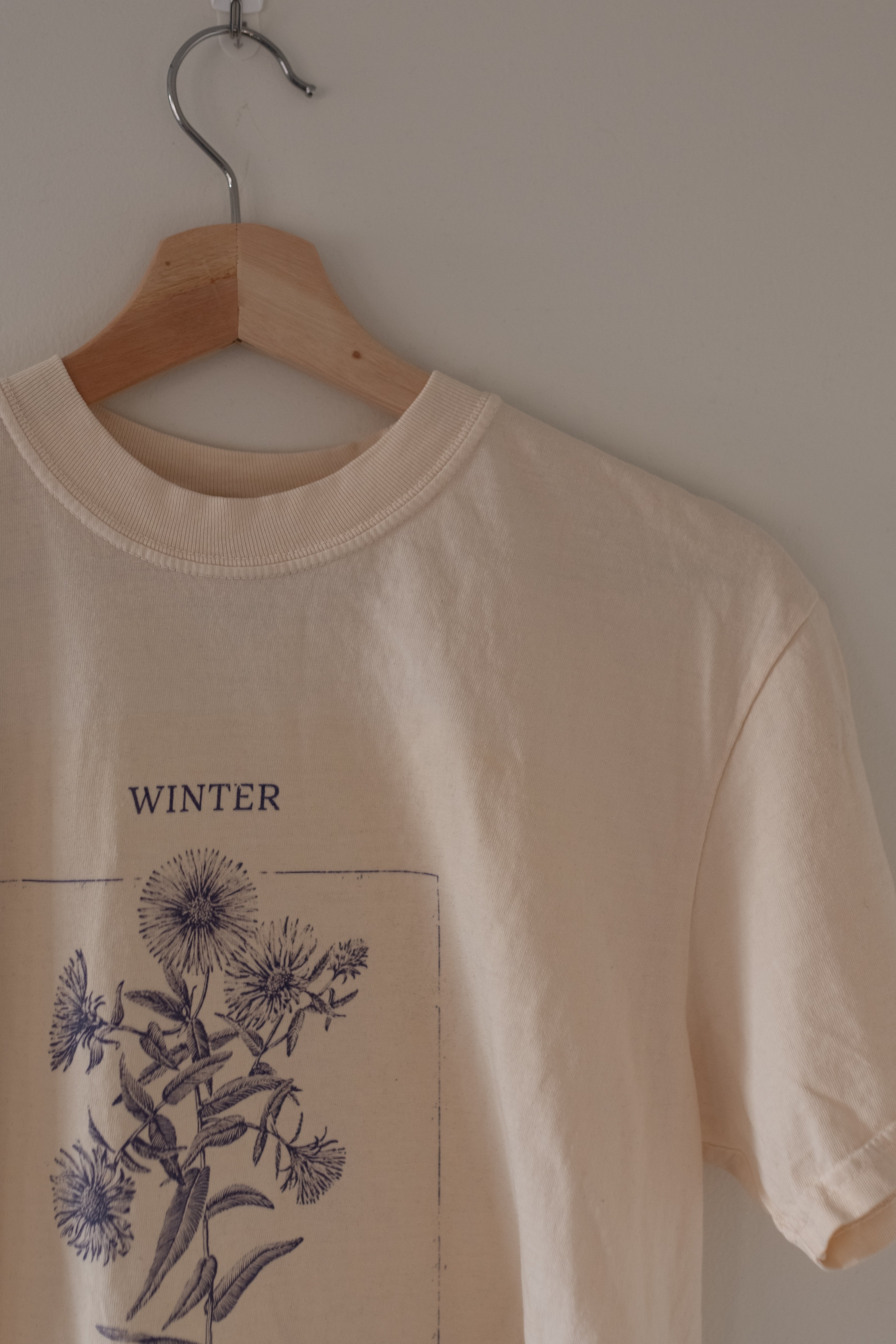 Winter Sow Swamp Aster (Symphyotrichum puniceum) Cotton T-Shirt