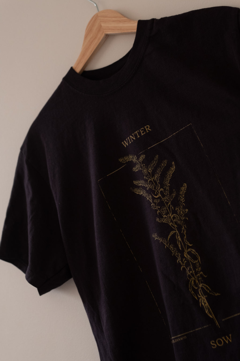 Winter Sow Sweet Goldenrod (Solidago odora) Cotton T-Shirt