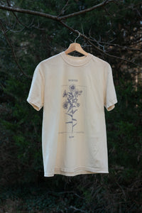 Winter Sow Swamp Aster (Symphyotrichum puniceum) Cotton T-Shirt