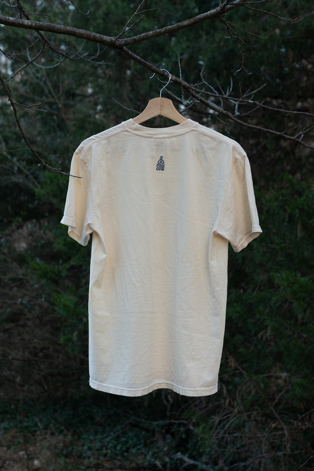 Winter Sow Swamp Aster (Symphyotrichum puniceum) Cotton T-Shirt