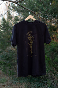 Winter Sow Sweet Goldenrod (Solidago odora) Cotton T-Shirt