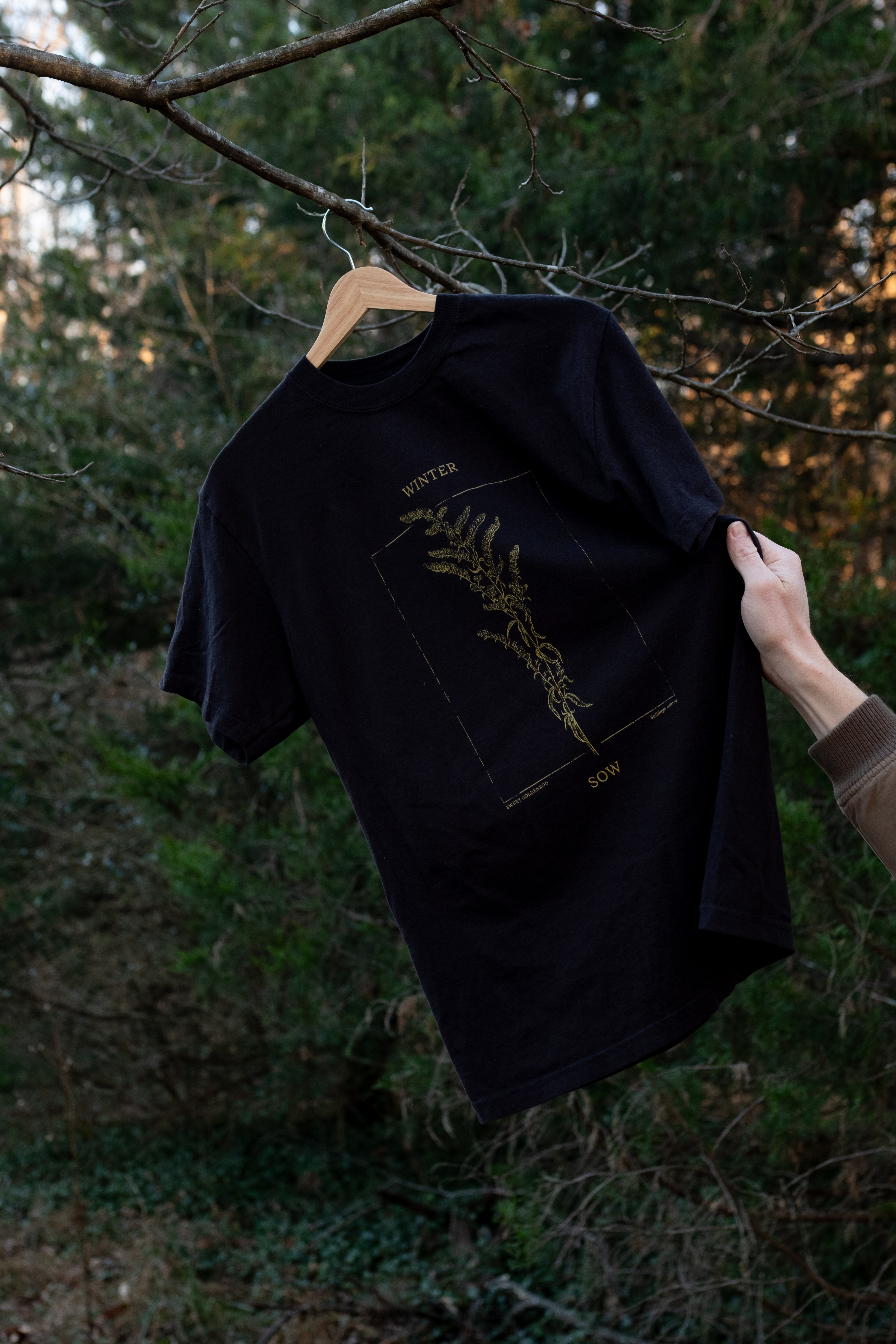 Winter Sow Sweet Goldenrod (Solidago odora) Cotton T-Shirt