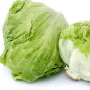 LETTUCE Seeds, Iceberg