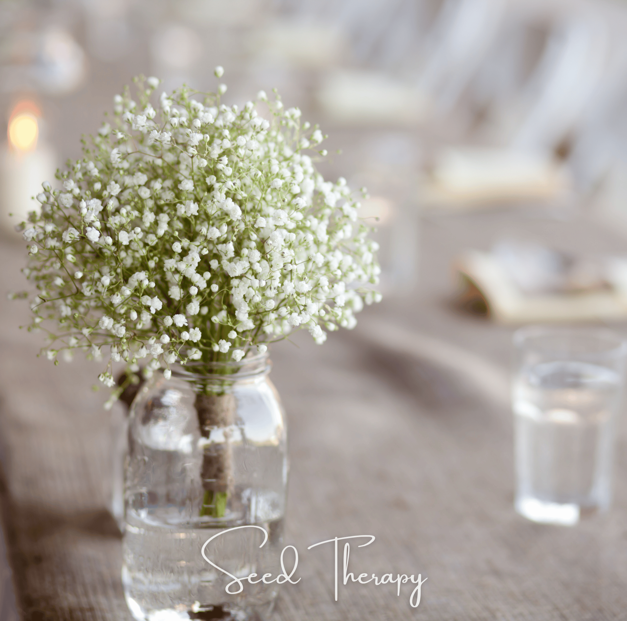 Perennial Baby’s Breath – 100 Seeds