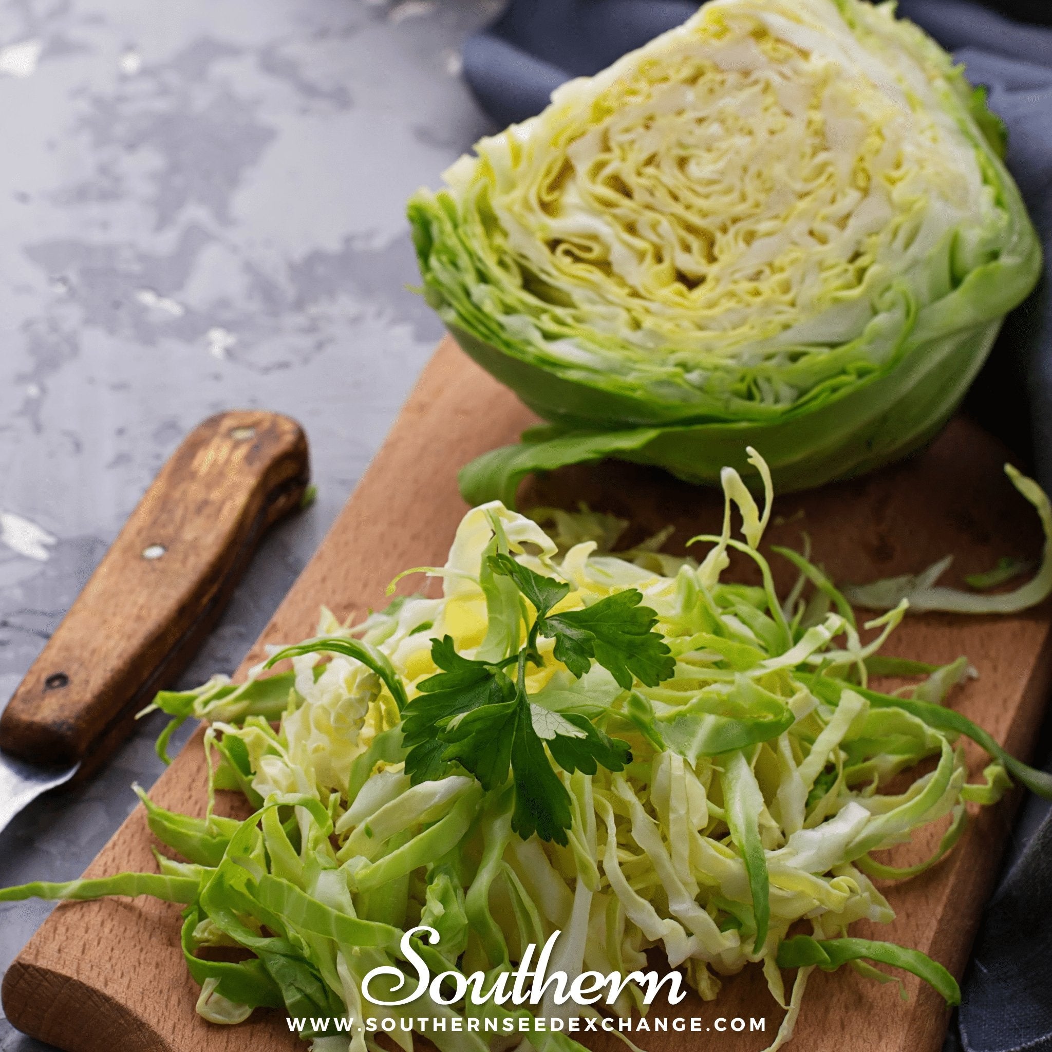 Brunswick Cabbage – 100 Seeds