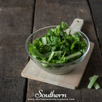 Santo Cilantro – 100 Seeds