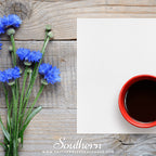 Tall Blue Cornflower – 100 Seeds