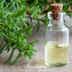Winter Savory – 100 Seeds