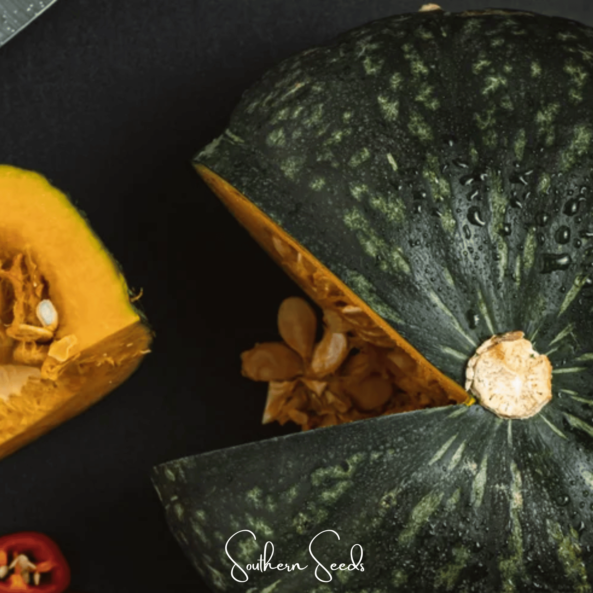 Black Forest Kabocha Squash – 10 Seeds